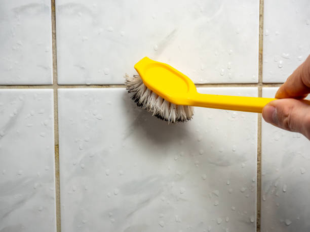 Best Localized Mold Remediation (e.g., coastal areas, humid climates) in Loyola, CA